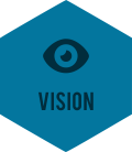 vision